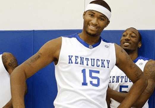 马术运动的 马术运动的