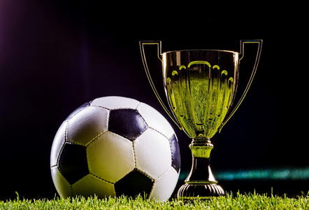 但他希望球 但他希望球